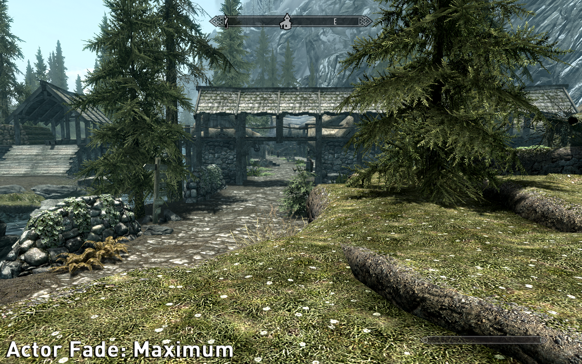 Skyrim graphics. FXAA Skyrim что это. Скайрим Графика. Скайрим максимальная Графика. The Elder Scrolls v: Skyrim.