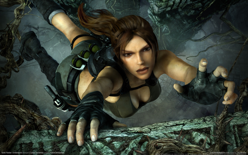 TombRaider fall