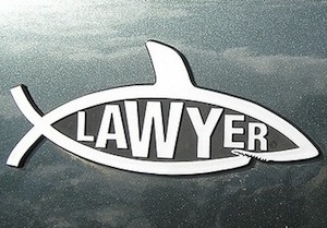 lawyer