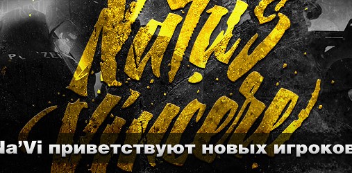 navi logo