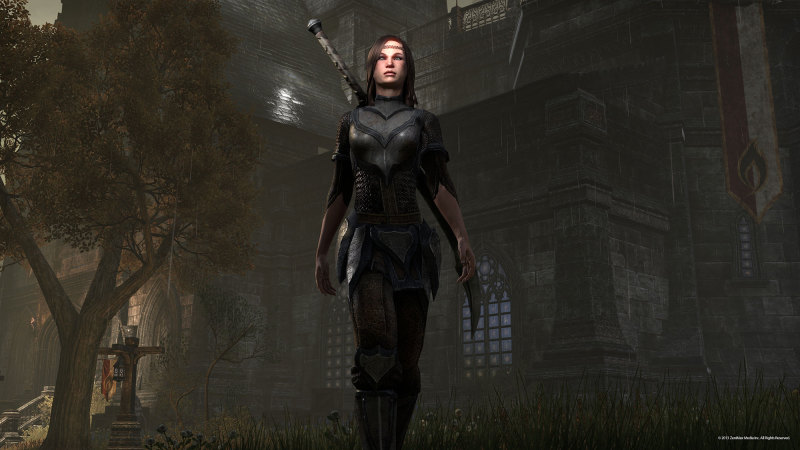 Breton wearing Redguard armor