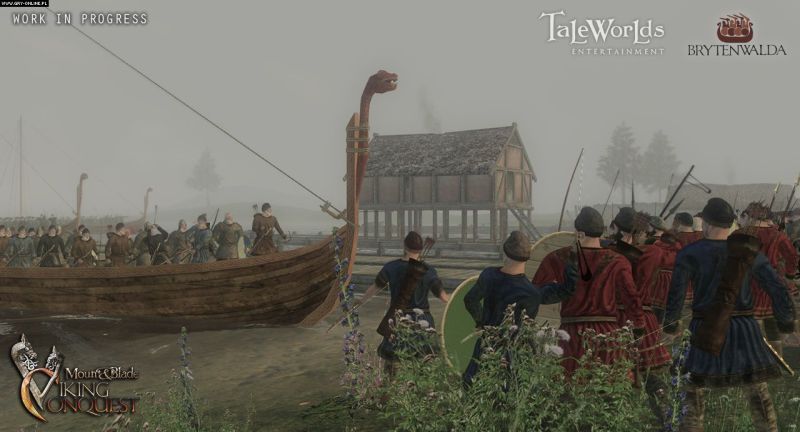 Warband Viking 3