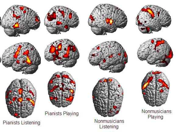 musician mirror neurons