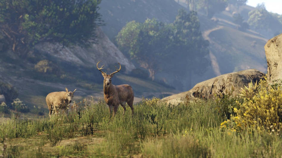 gta5 nature