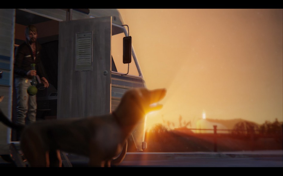 life is strange dog