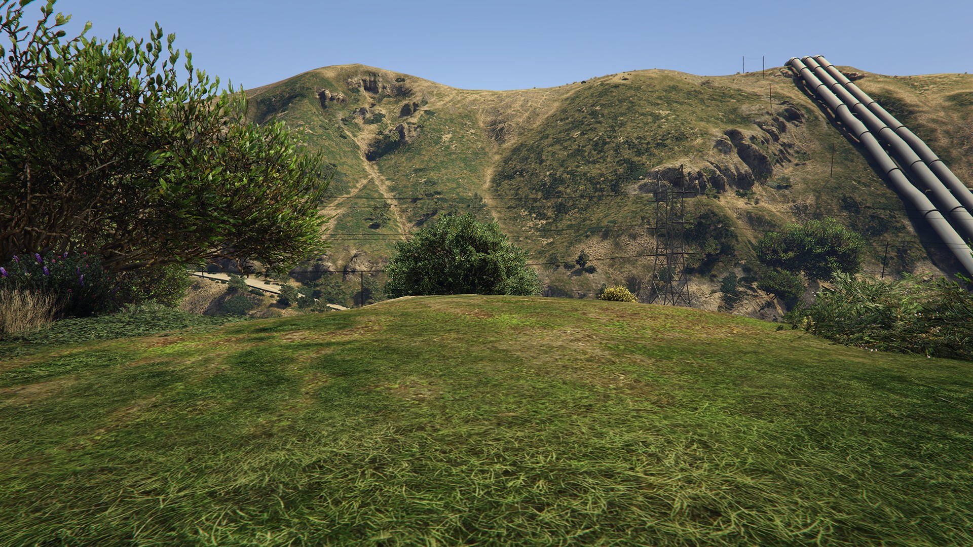 Gta 5 low grass фото 1