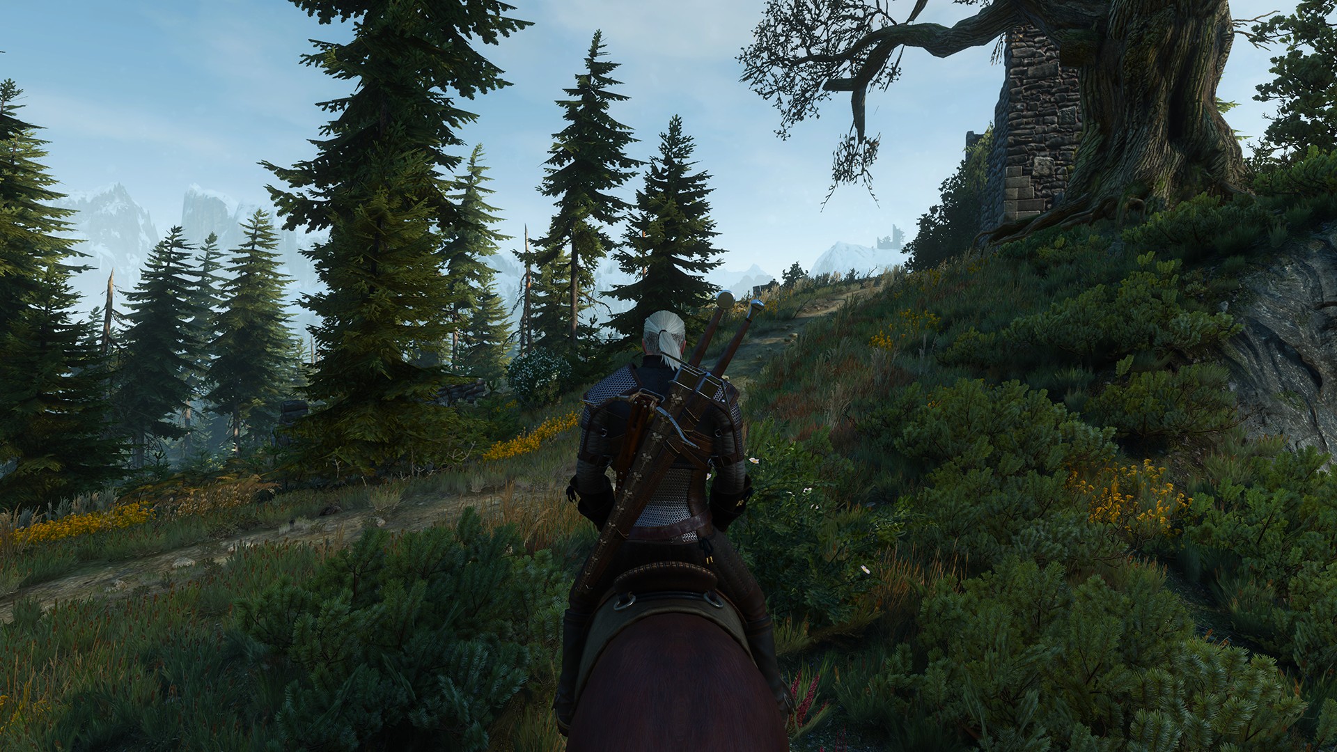 Nvidia geforce the witcher 3 фото 104