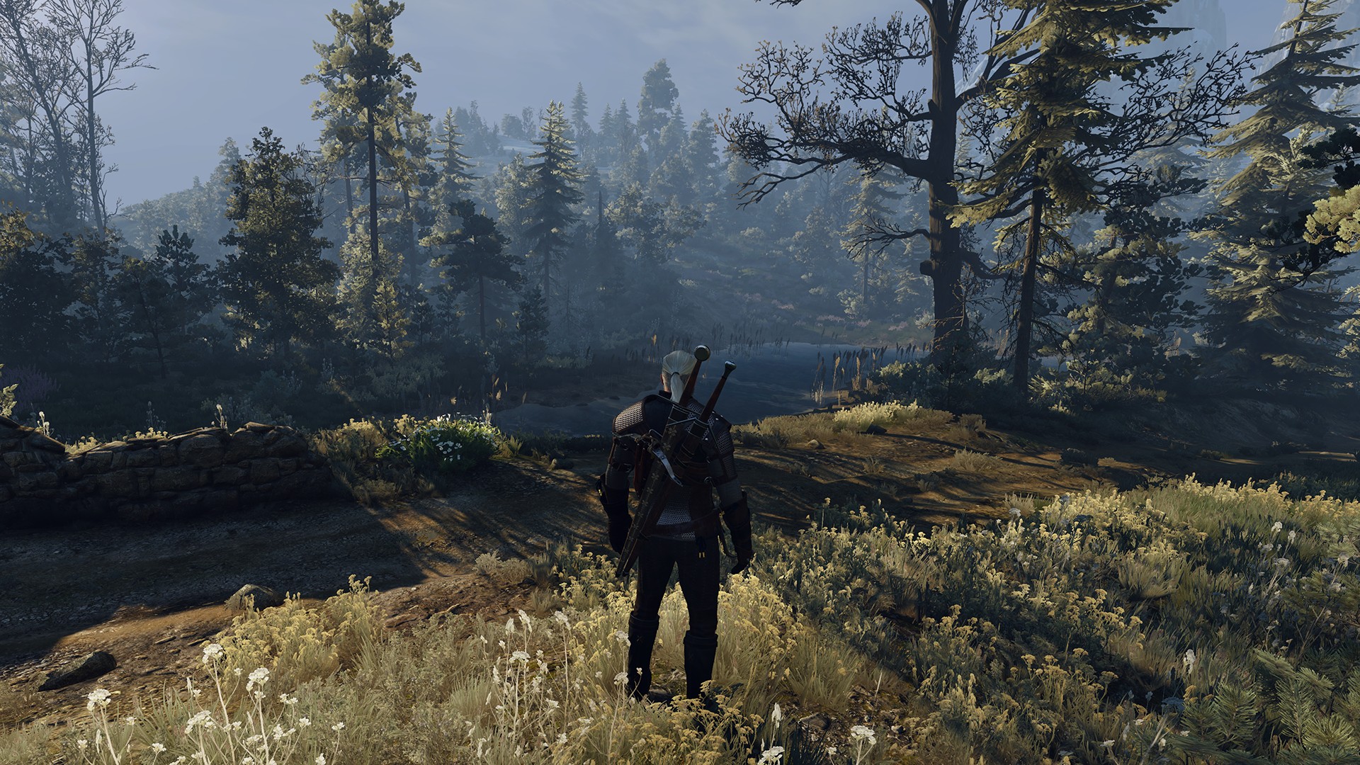 Nvidia drivers the witcher 3 фото 7