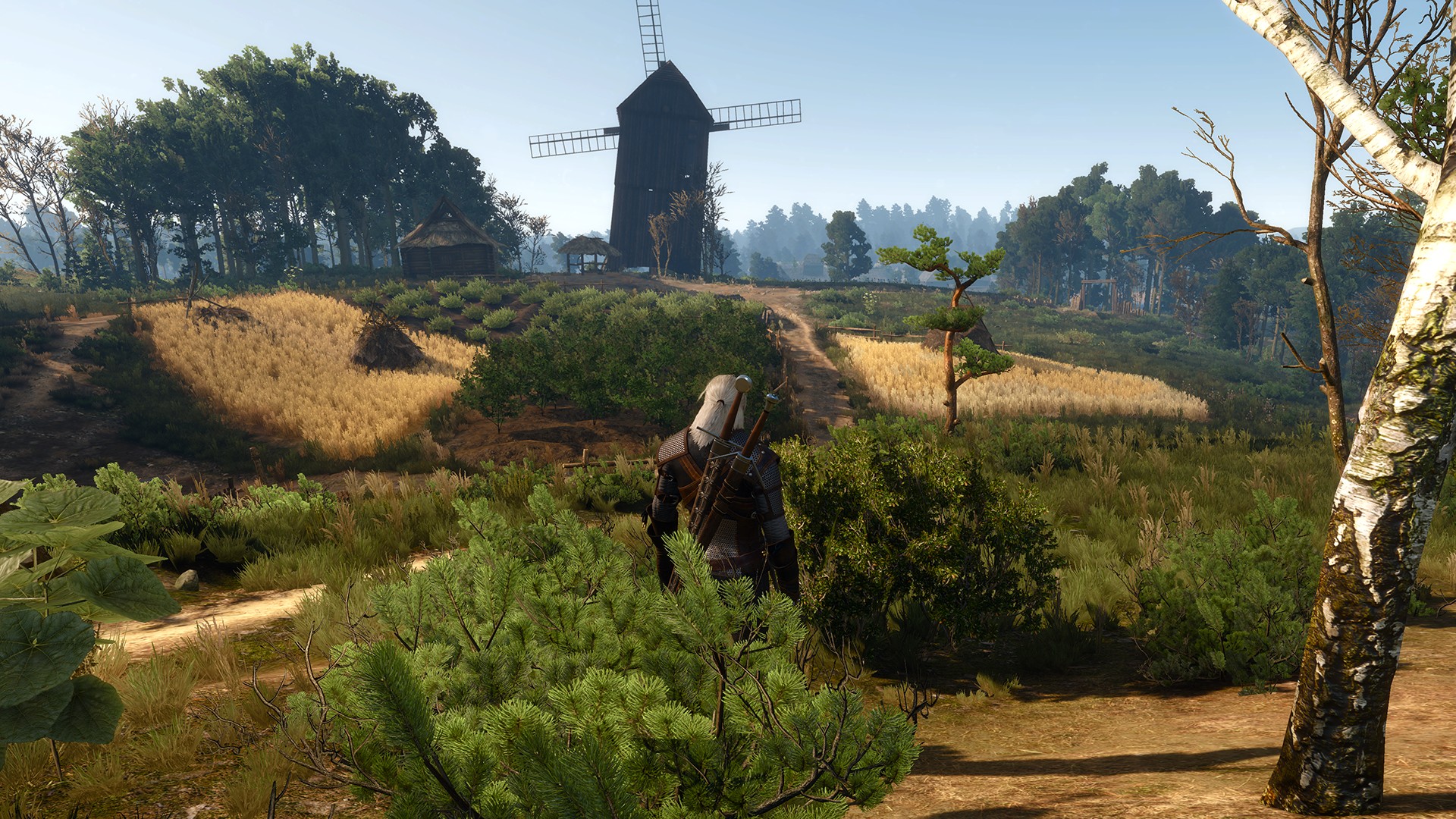 Nvidia geforce the witcher 3 фото 61