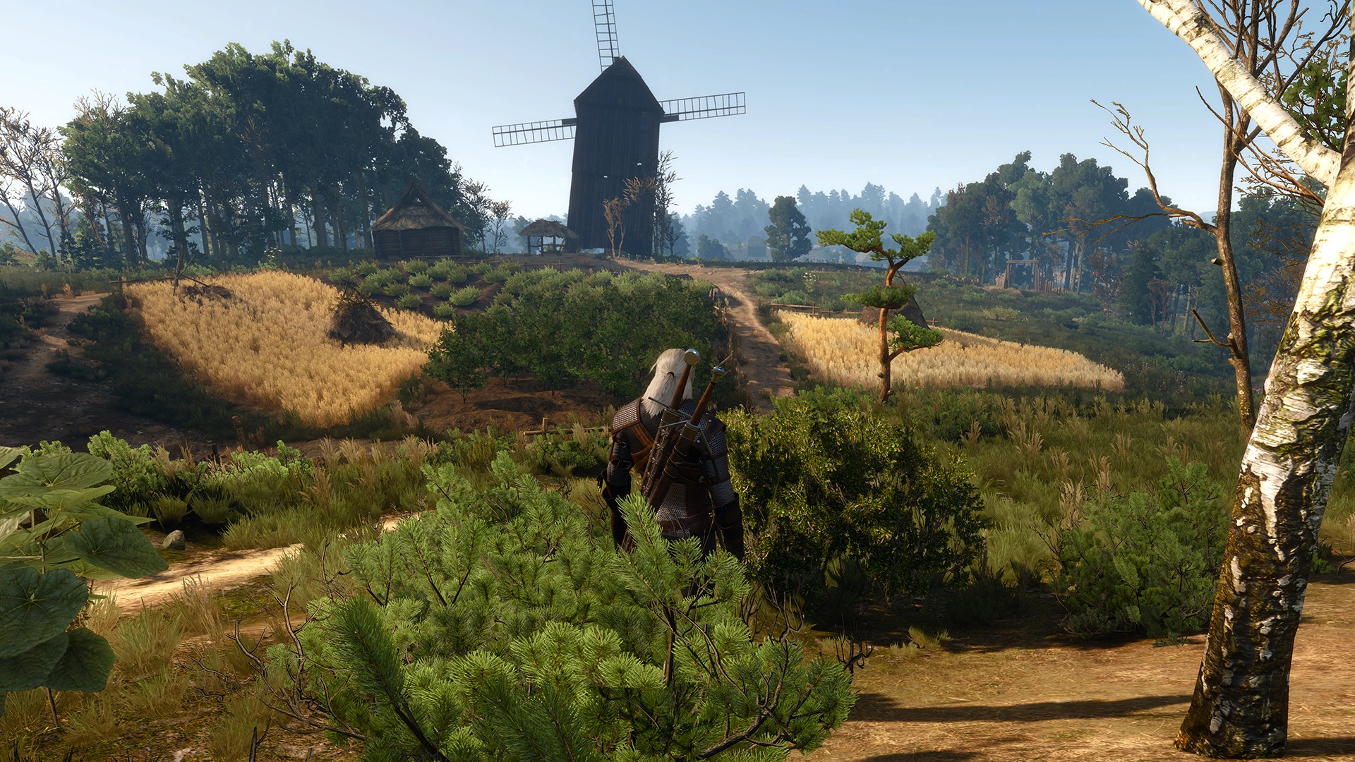 увеличить fps the witcher 3 фото 45