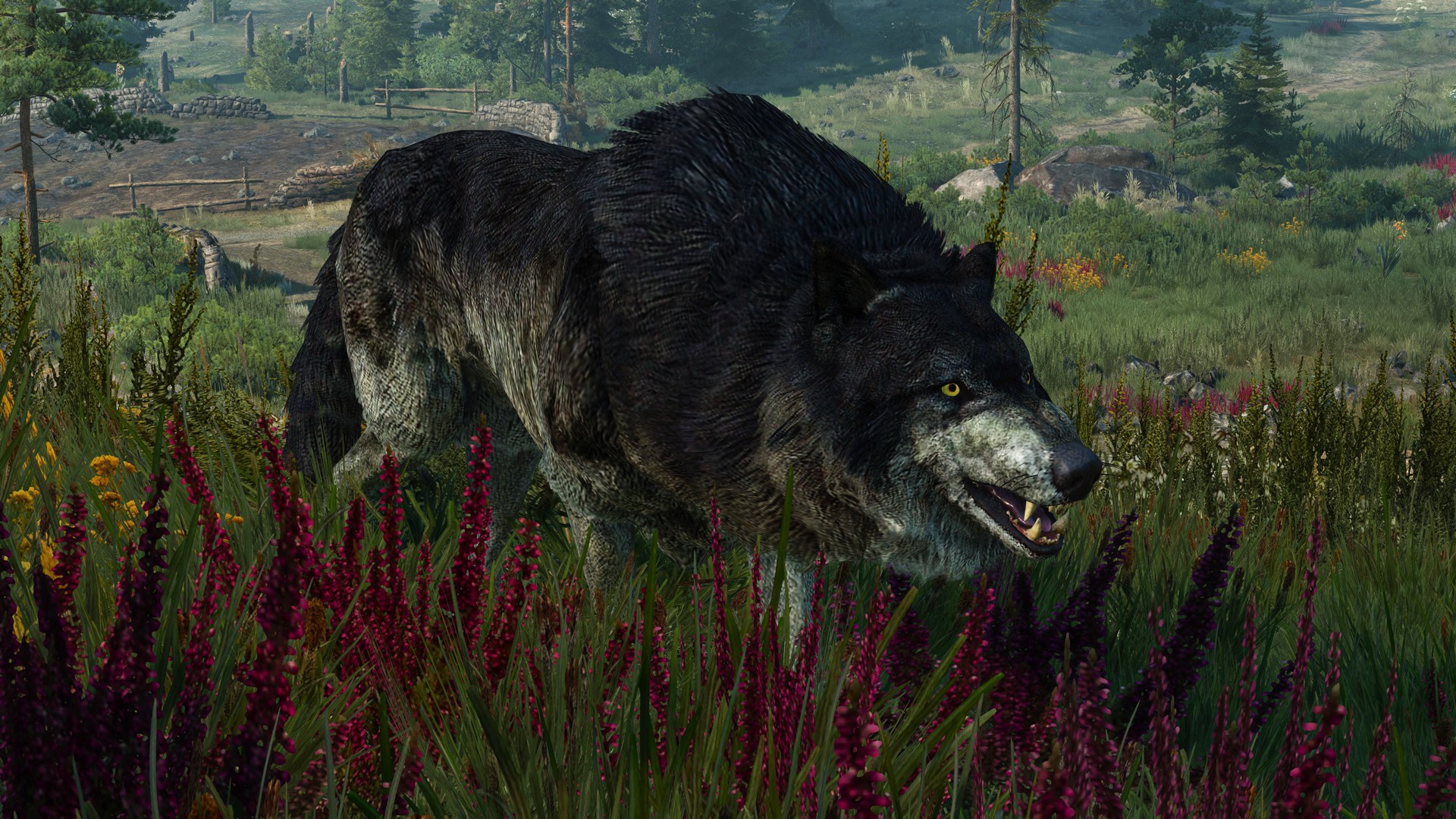 The witcher 3 wolf gear scavenger hunt фото 85