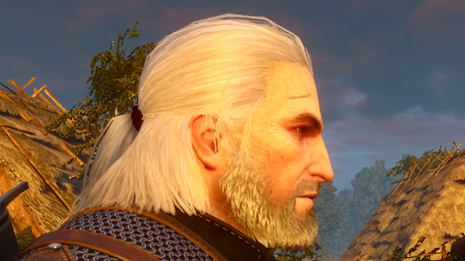 The witcher 3 nvidia hairworks amd фото 70
