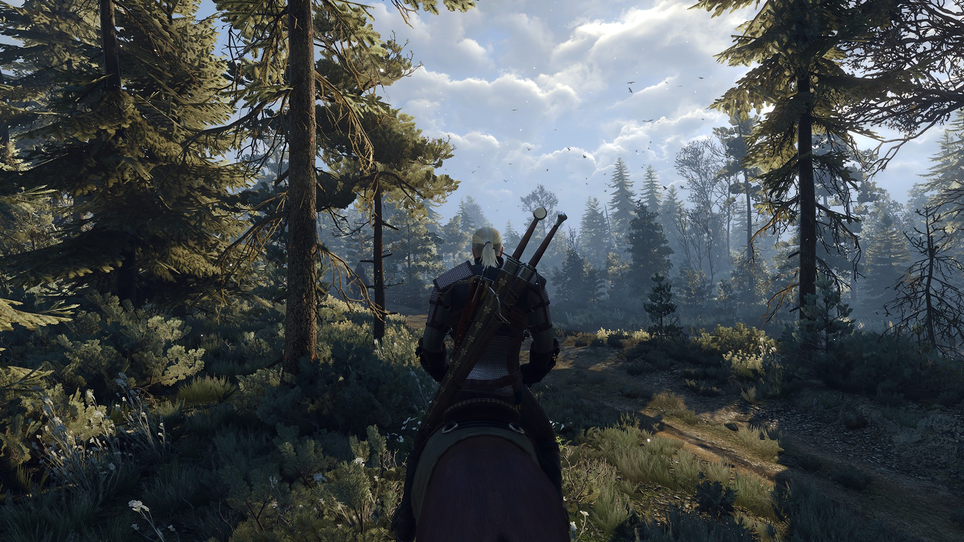 The witcher 3 goty edition фото 97