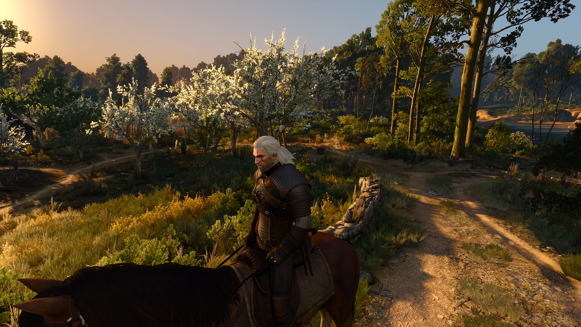 The witcher 3 nvidia hairworks что это фото 67