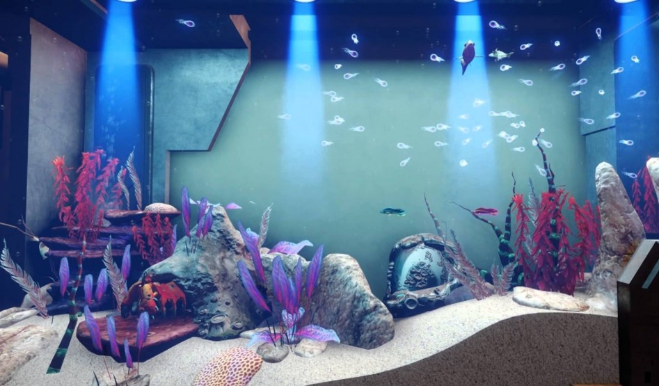 sc Fishtank