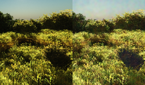 pond_300_fill