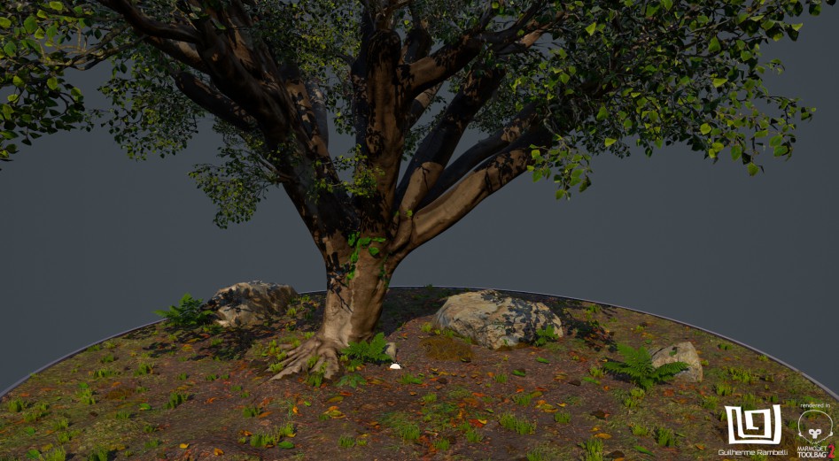 photogrammetry