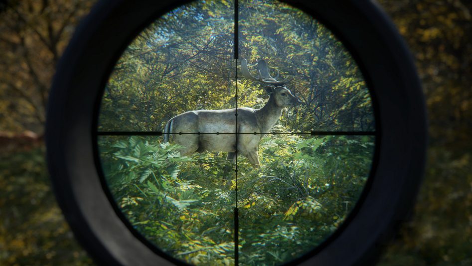 thehunter-call-of-the-wild-animal-in-crosshairs